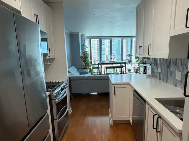 Galley kitchen remodel at The Chandler, 450 E Waterside Dr, Lakeshore East Chicago, with white shaker cabinets, quartz counters and breakfast bar with city view